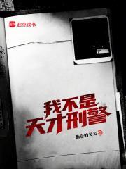 我不是天才刑警封面