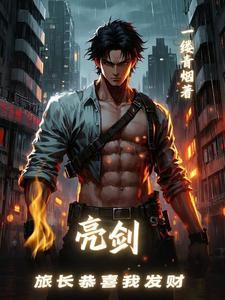 亮剑，旅长恭喜我发财封面
